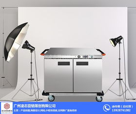 新造鎮(zhèn)畫冊設(shè)計服務(wù)——凌志營銷策劃的優(yōu)質(zhì)企業(yè)解決方案